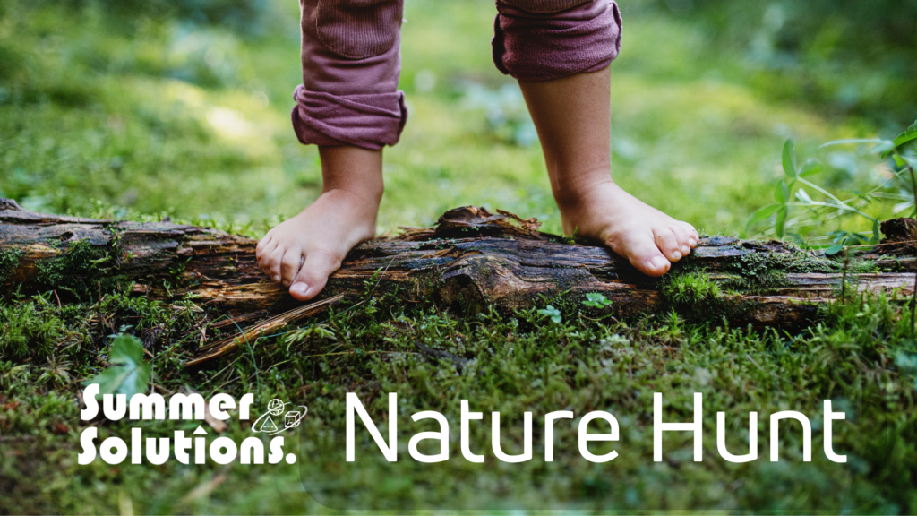 Nature Hunt Activity Blog